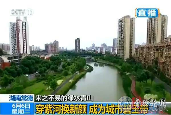 触屏版