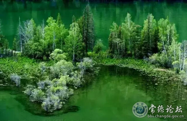触屏版