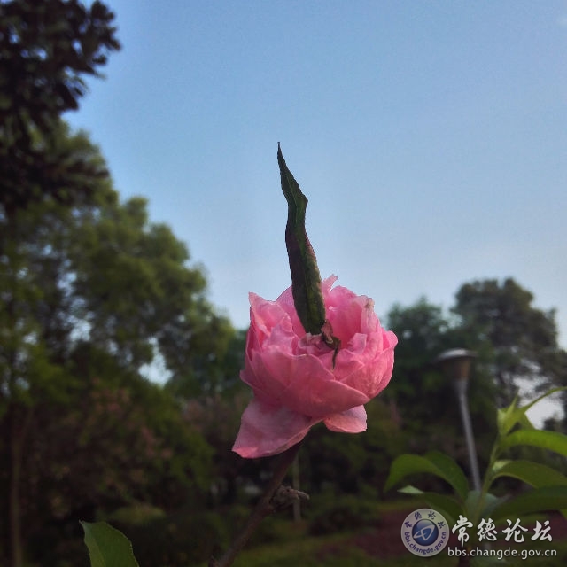 触屏版