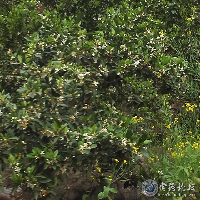 触屏版