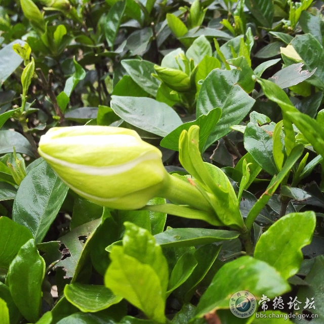 触屏版
