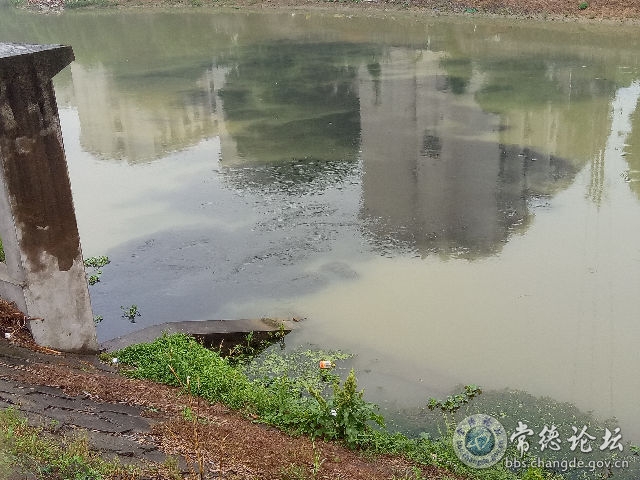 触屏版