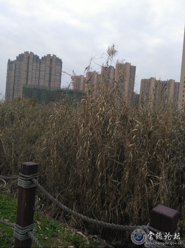 触屏版