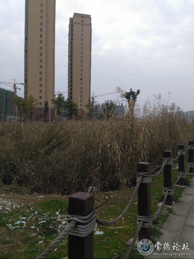 触屏版