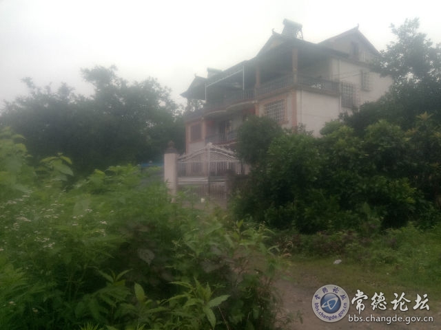 触屏版