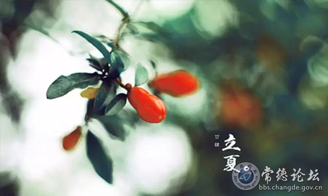 触屏版