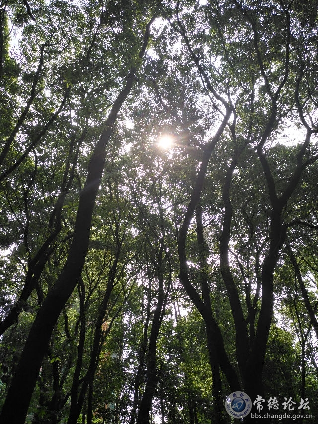 触屏版