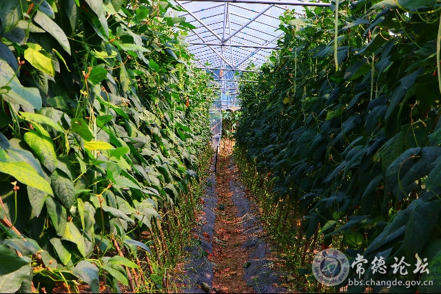 触屏版