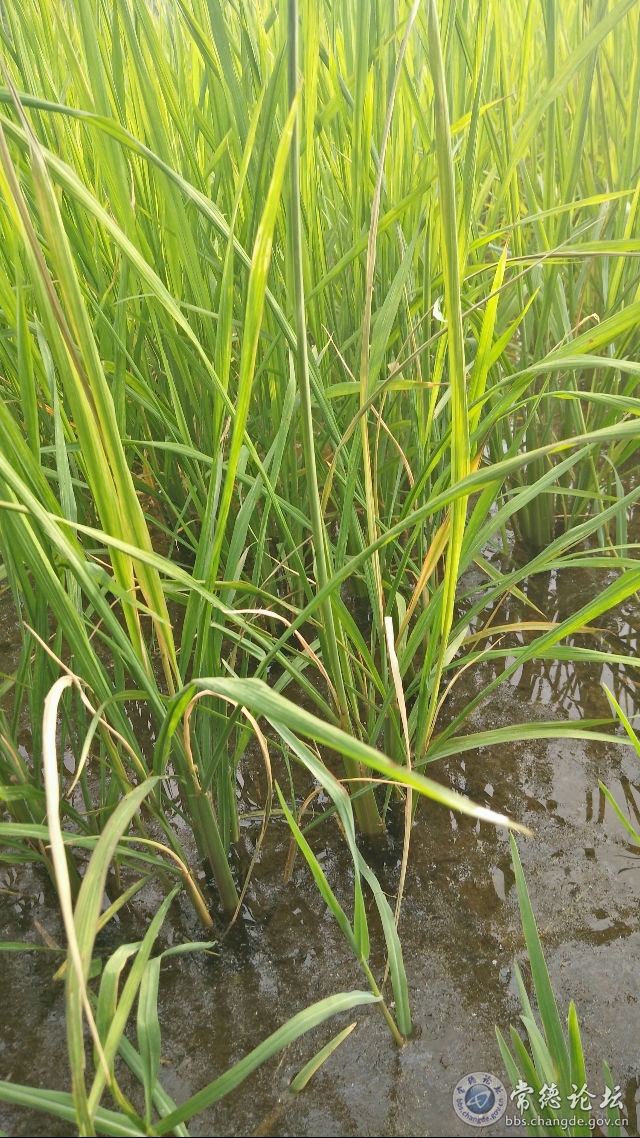 触屏版