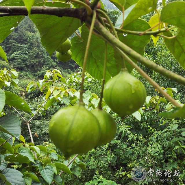 触屏版