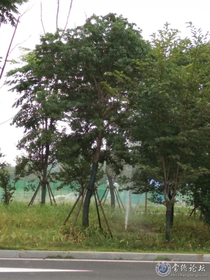 水爆现场