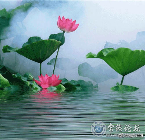 触屏版