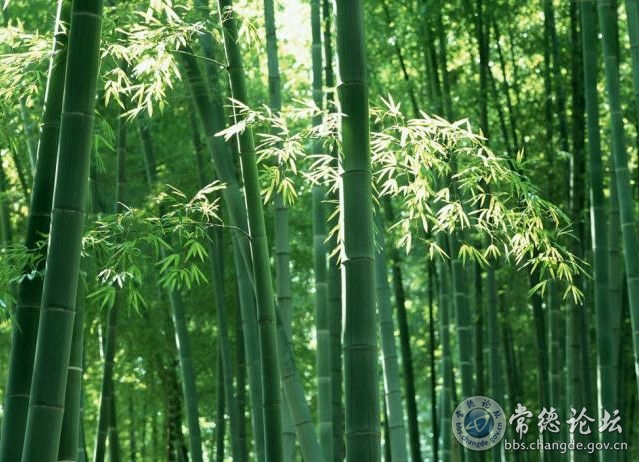 触屏版