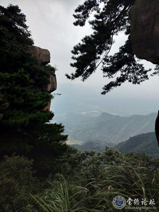触屏版