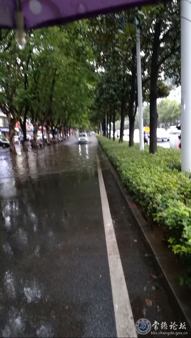 触屏版