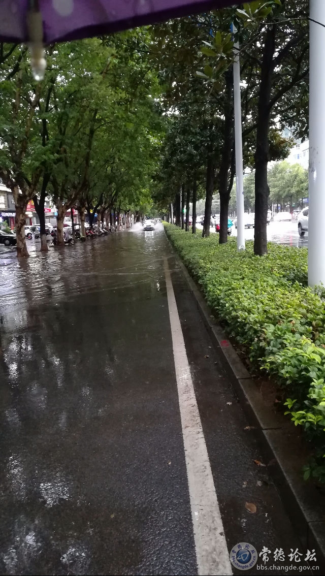 触屏版