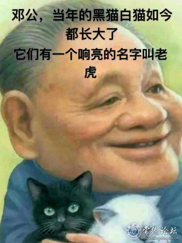 触屏版