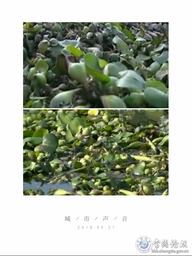 触屏版