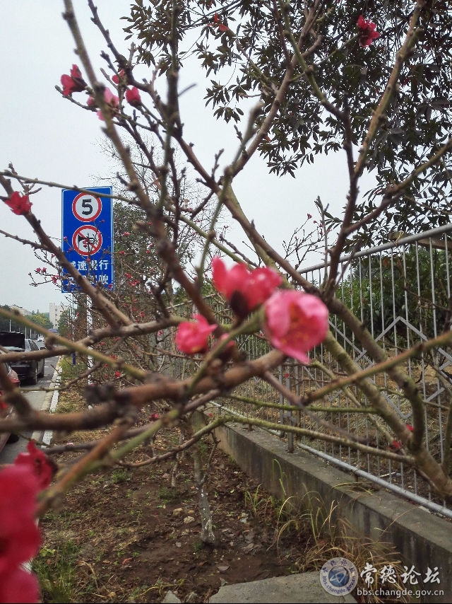 触屏版