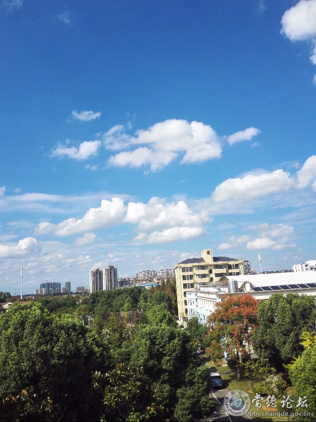 触屏版