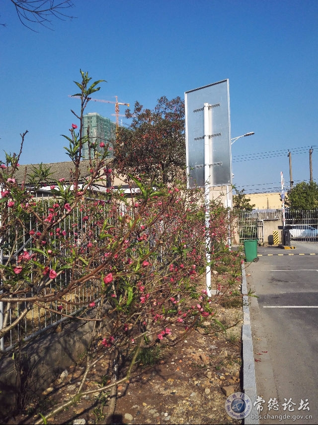 触屏版