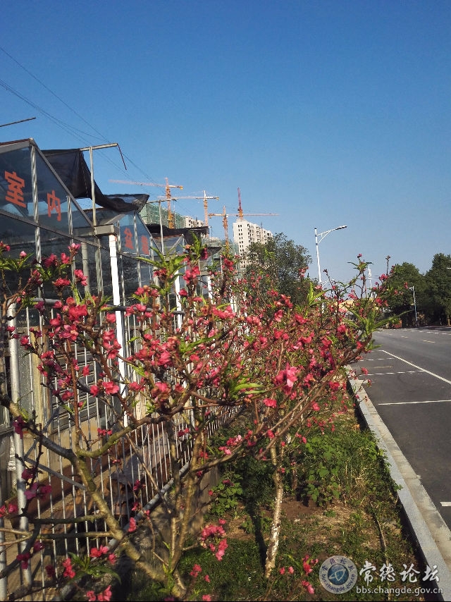 触屏版