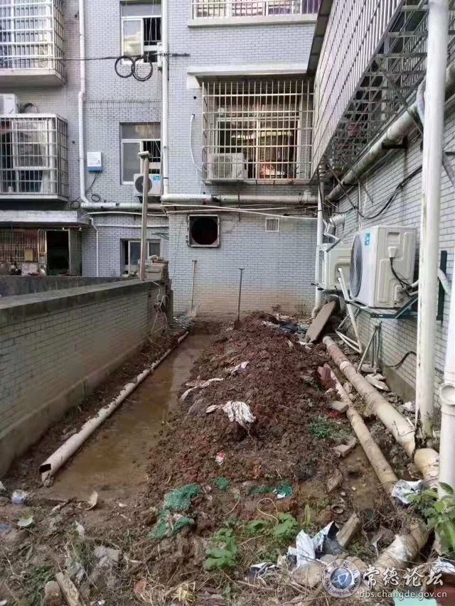 触屏版