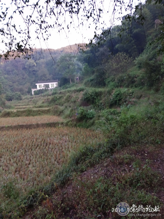 触屏版