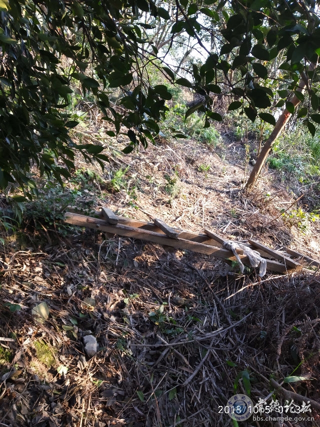 触屏版