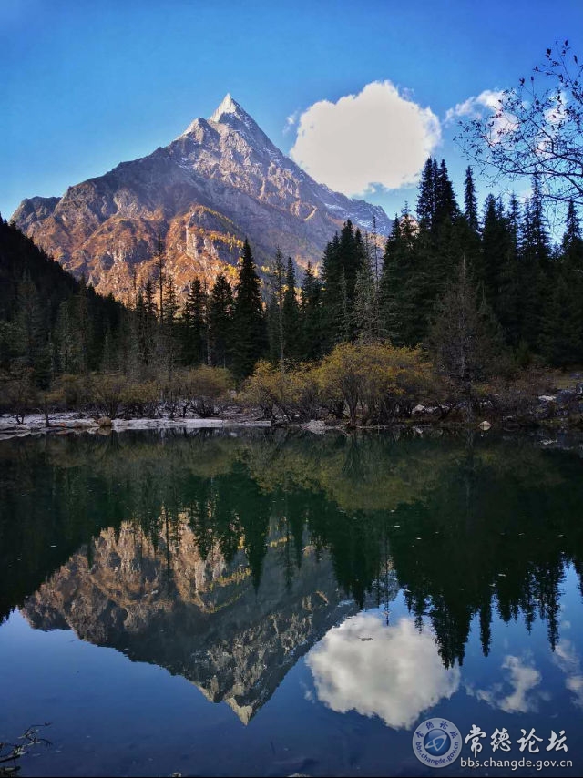 触屏版