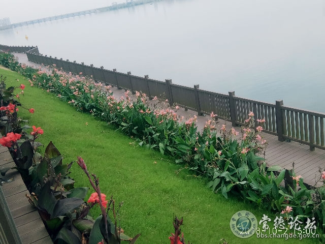 触屏版