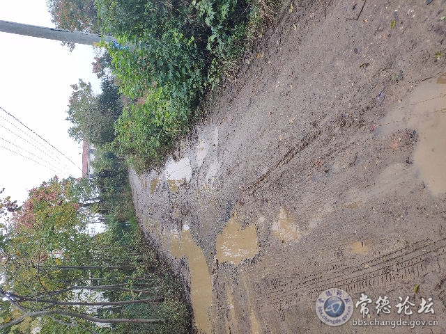 触屏版