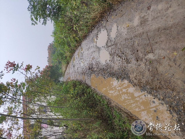 触屏版