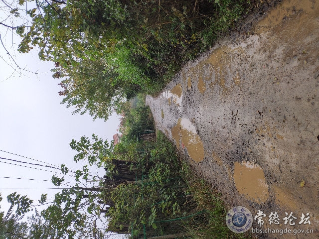 触屏版