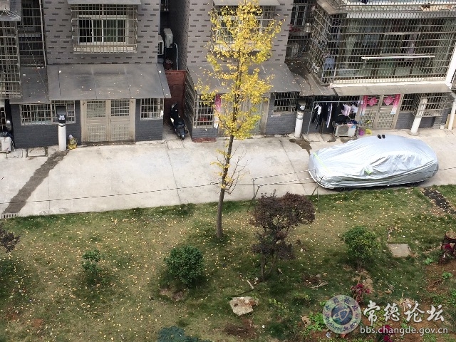 触屏版