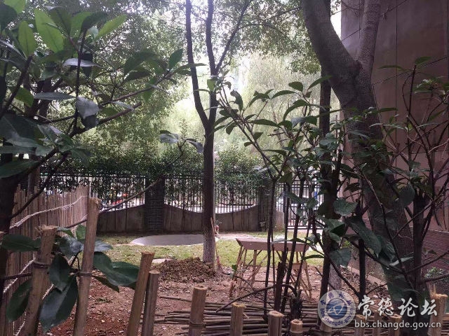 触屏版