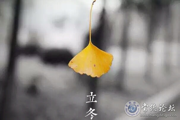 触屏版