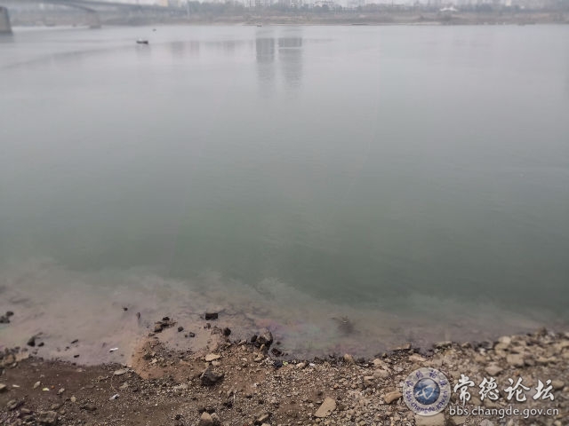 触屏版