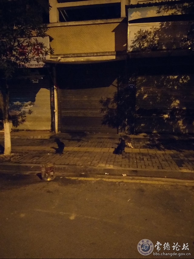 触屏版