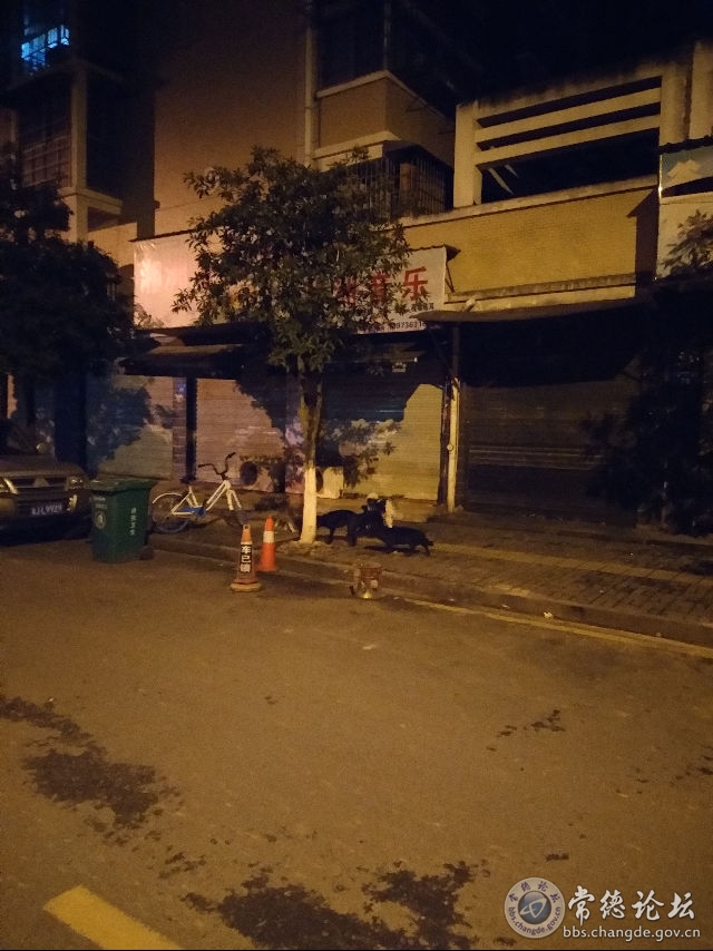 触屏版