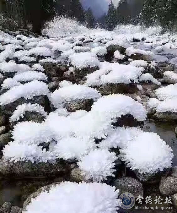 触屏版