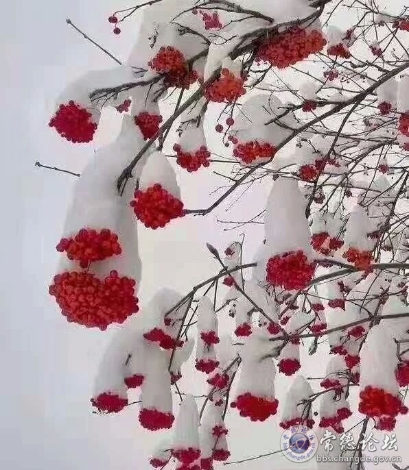 触屏版