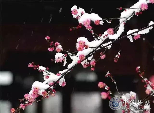 触屏版