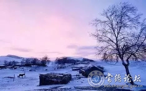 触屏版