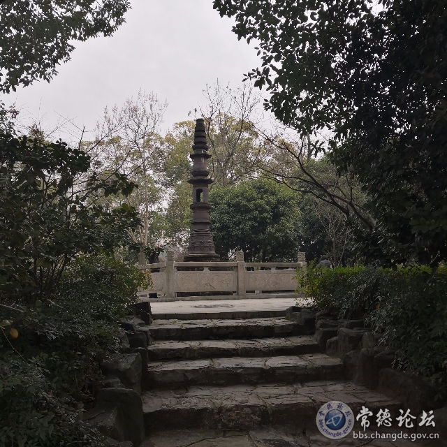 触屏版