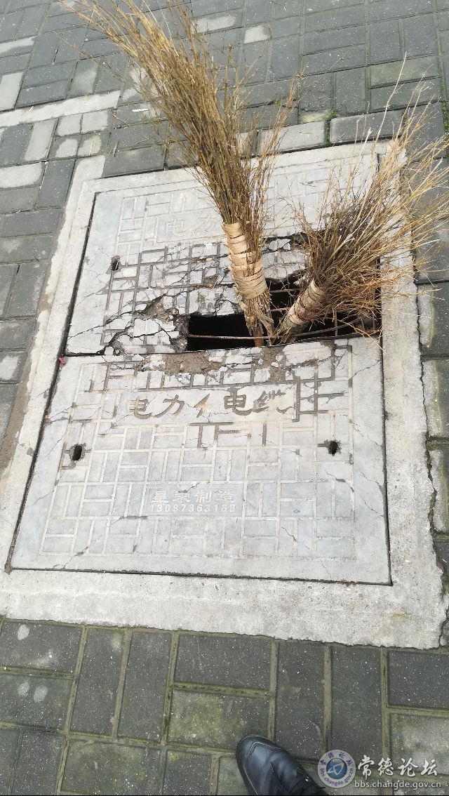 触屏版
