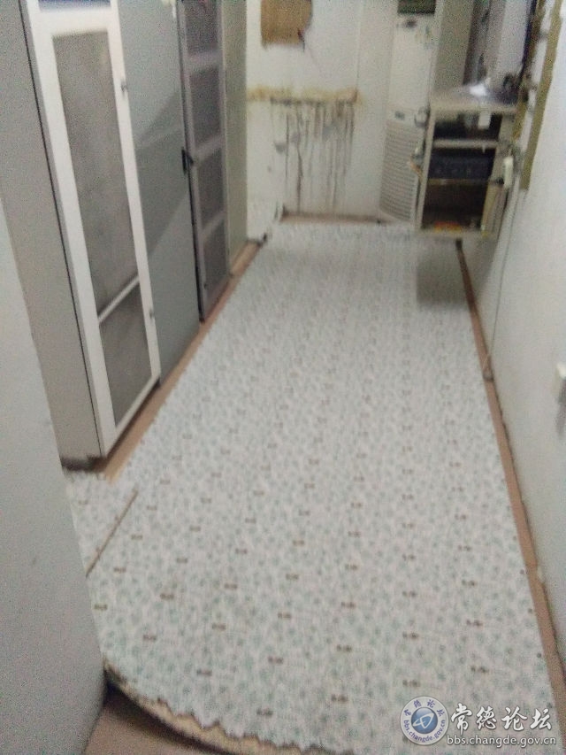 触屏版