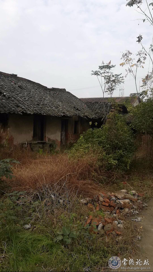 触屏版
