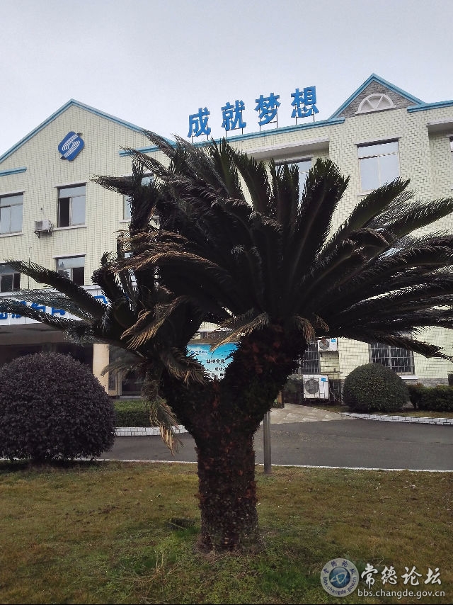 触屏版