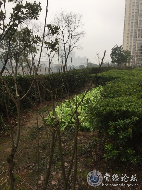 触屏版